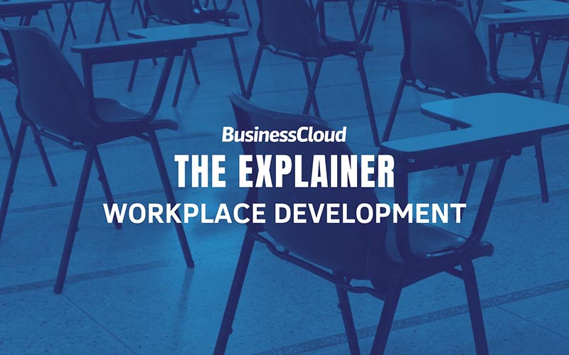 The Explainer Workplace Development