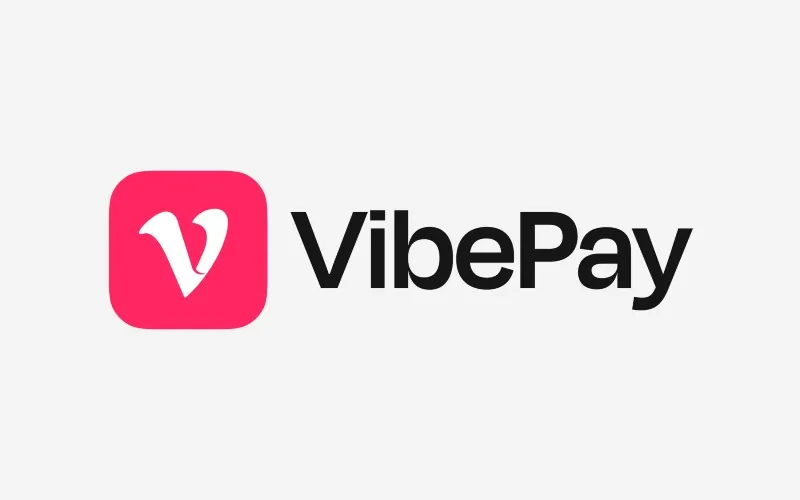 VibePay – unlocking growth with payments, channels and insights