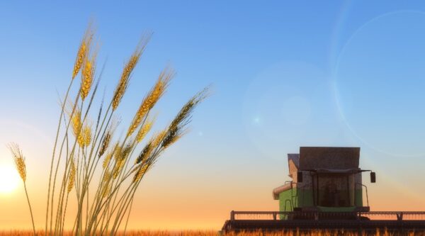 Frontier Agriculture, farm