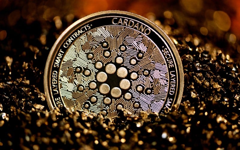 Cardano