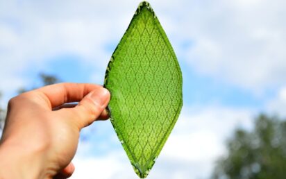 Arborea BioSolar Leaf