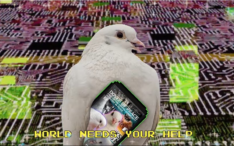 Doves of Peace rap video
