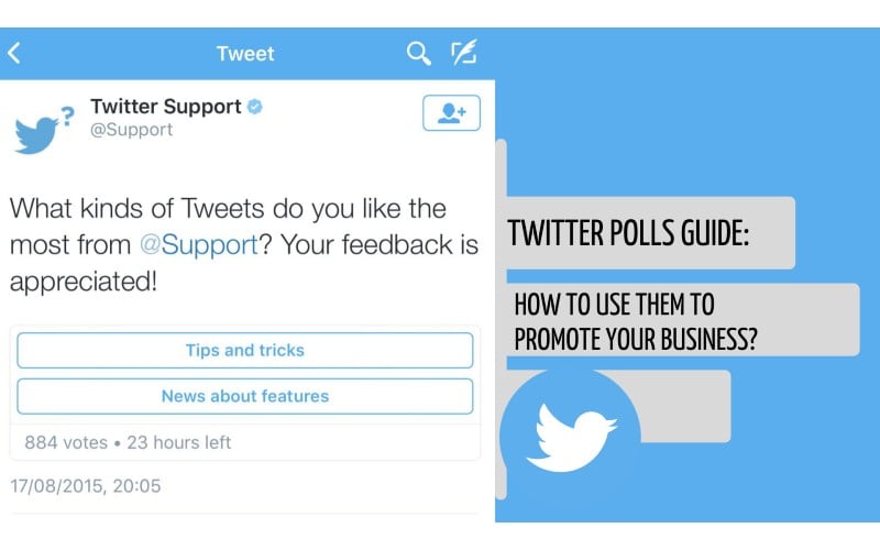 Twitter polls guide