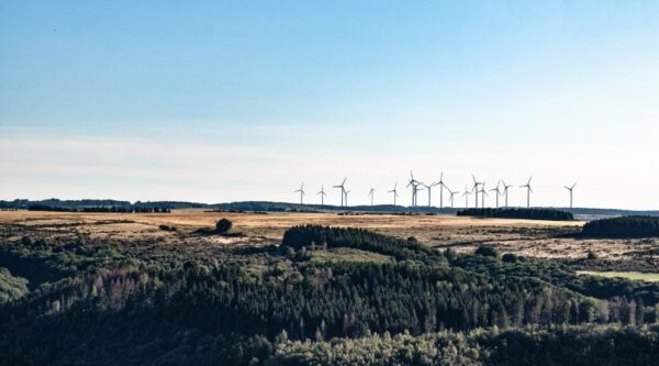 Wind farm