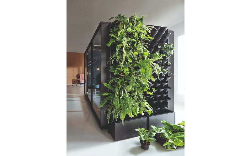 Hushoffice acoustic pod with the greenWall plant wall