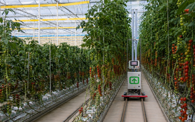 Fotenix Automatated Crop Scout