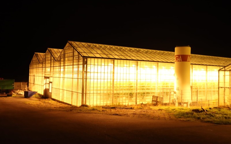 Iceland greenhouse