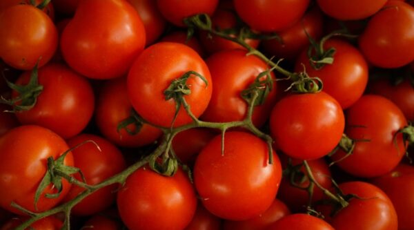 Tomatoes. Credit: Tom Hermans, Unsplash