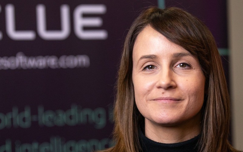 Clare Elford, Clue Software