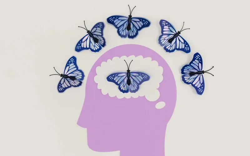 Butterflies
