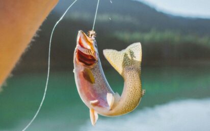 Fishing. Credit: Wes Walker on Unsplash