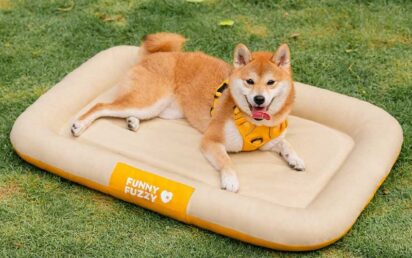 FunnyFuzzy product