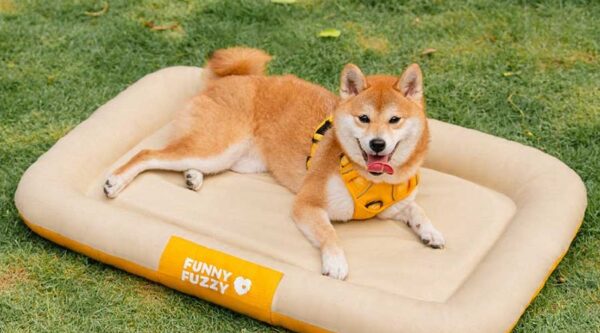 FunnyFuzzy product